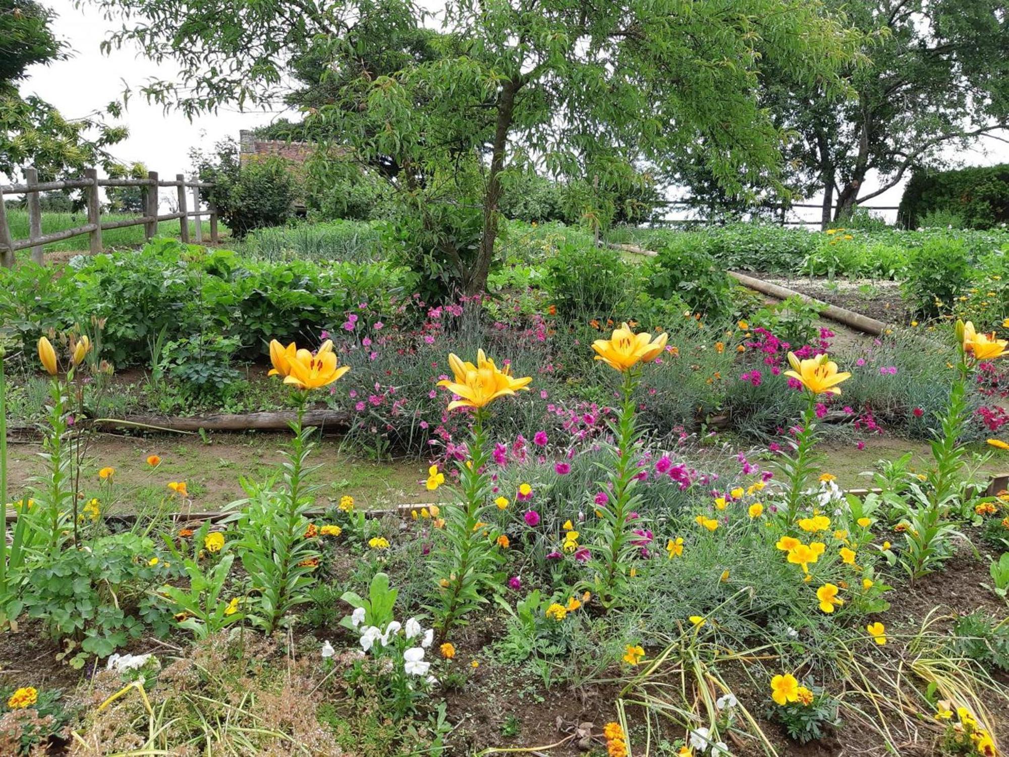 Maison De Charme Avec Jardin, Nature, Cheminee, Wifi, Proche Manoirs Et Rivieres Tortueuses - Fr-1-497-99 Saint-Bomer-les-Forges 外观 照片